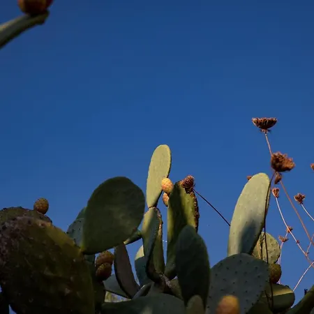 L'ariana Isole Eolie - Esperienze Ξενοδοχείο Leni